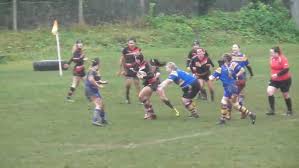 Image result for Teignmouth Rugby Football Club