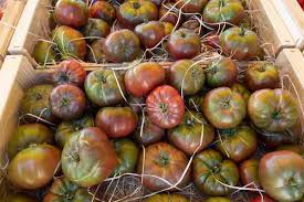 Afbeeldingsresultaat voor black brandywine tomato