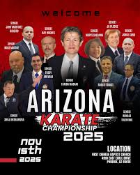 Image result for America's Best Karate Chandler