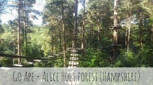 Image result for Go Ape! Alice Holt