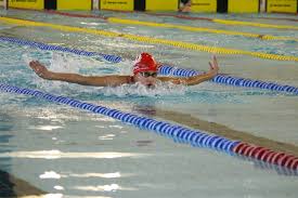 Image result for Elmbridge Phoenix Swimming Club