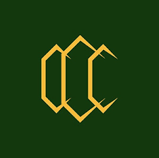 Image result for Churt Cricket Club