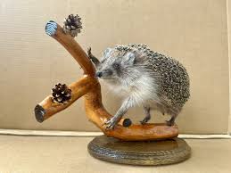 Attēlu rezultāti vaicājumam “Erinaceus sp.”