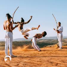 Image result for Brazilian-martial arts