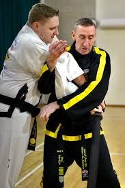 Image result for Kidderminster Tae Kwon Do Tigers