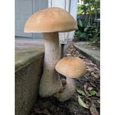 Image result for macrocybe titans