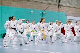 Image result for Chichester Tae Kwon Do