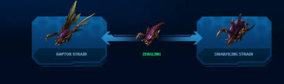 Image result for zergling