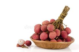 Image result for Litchi chinensis