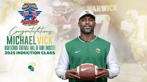 Image result for Michael Vick