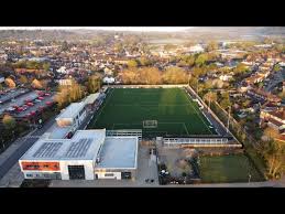 Image result for Dorking Wanderers F C