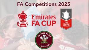 Image result for Burpham Juniors Fc