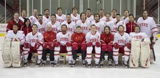 Image result for York University Hockey Club