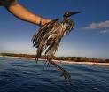 Gulf oil spill trial is delayed by federal judge | NOLA.