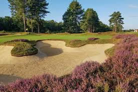 Image result for Ipswich Life Saving Club