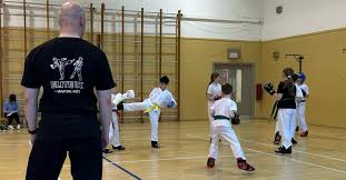 Image result for Great Britain Martial Arts Academy