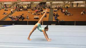 Image result for Horizon Team Gym Club