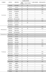 Attēlu rezultāti vaicājumam “Hemitrichia leiotricha stalked”