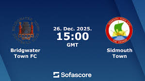 Image result for Sidmouth Badminton Club