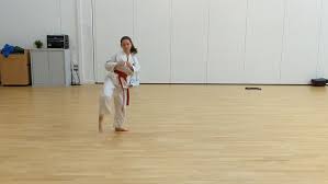 Image result for Redhill & Reigate Taekwon-Do