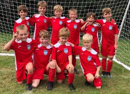 Image result for Walton & Hersham Football Club