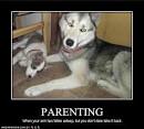 Funny Pictures