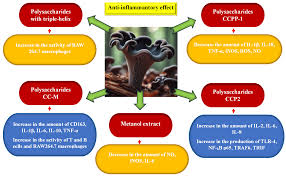 Attēlu rezultāti vaicājumam “Cratarellus cornucopioides”