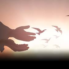 Image result for FOTO DE PAZ