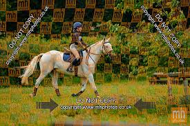 Image result for Chiddingfold Branch Of The Pony Club