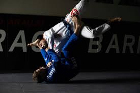 Image result for Universal Judo Academies