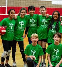 Image result for Spring View Community Sports Association