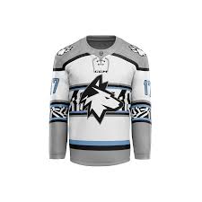 Image result for Haringey Junior Ice Hockey Club