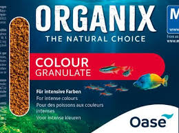 Image result for Yngelfoder