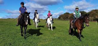 Image result for Shey Copse Riding Centre