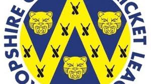 Image result for Bridgnorth Cricket Club