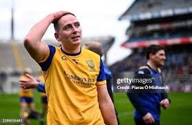 Image result for Patrick Sarsfield Gaelic Athletic Club