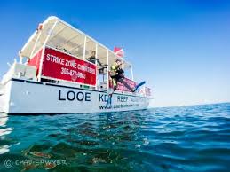 Image result for Looe Diving Club