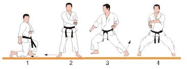 Image result for enpi dojo