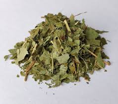 Attēlu rezultāti vaicājumam “Cerasus leaf”