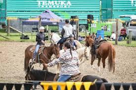 Image result for Winchester Riding Club