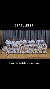 Image result for Tsunami Karate Club