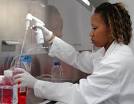 Veterinary and Biomedical Sciences Master's Degree Program at the ...