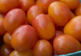 Afbeeldingsresultaat voor oranje van goeienbier tomato