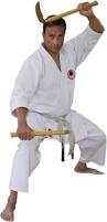 Image result for Jutsu Karate Association, Cobham, Surrey