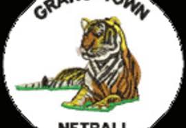 Image result for Grangetown Netball Club