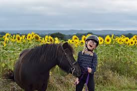 Image result for Abinger Forest Riding Club