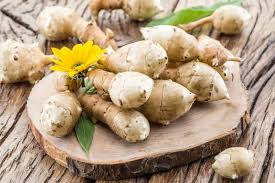 Attēlu rezultāti vaicājumam “Helianthus tuberosus flower”