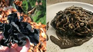 Attēlu rezultāti vaicājumam “Cratarellus cornucopioides”