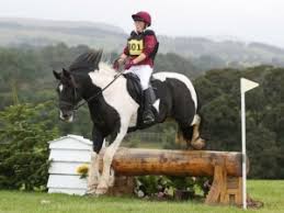 Image result for Ayr Riding Club
