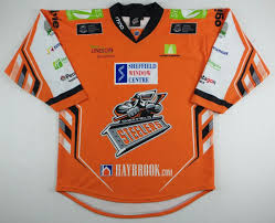 Image result for Sheffield Steelers